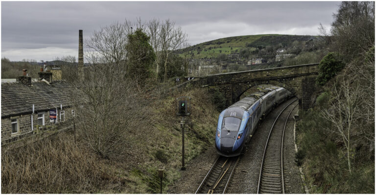 The tame valley stakeout